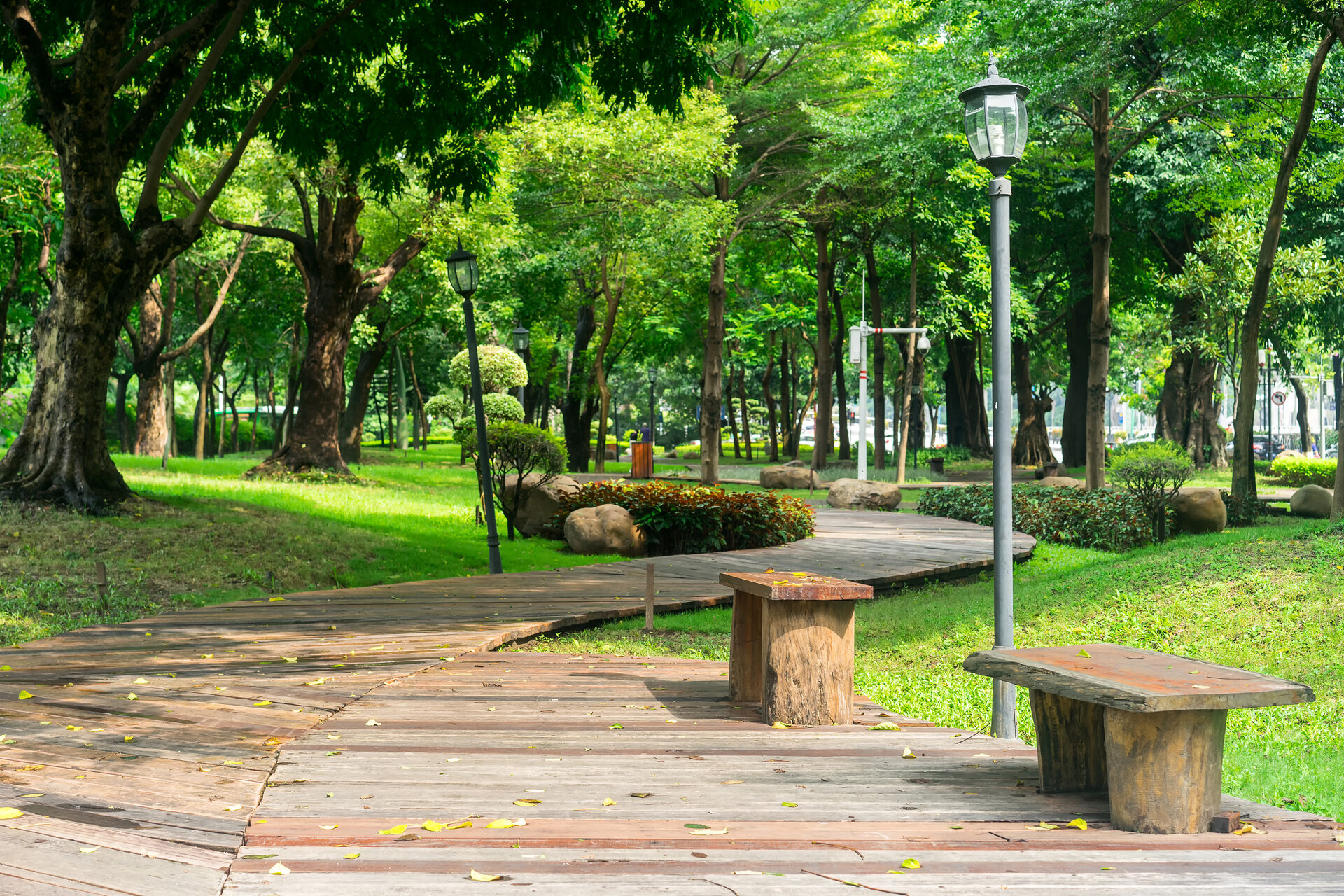 Landscaping